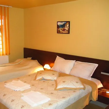 Casa Enescu Guest house